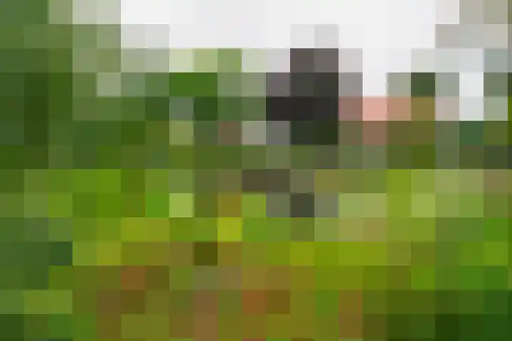 Bouwmeesterstraat 32 Vriezenveen thumbnail 52