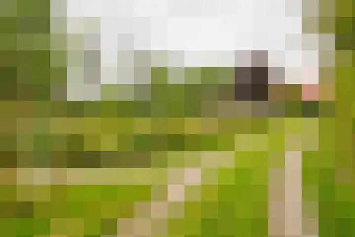 Bouwmeesterstraat 32 Vriezenveen thumbnail 53