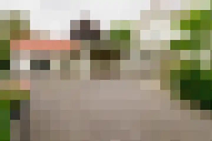 Bouwmeesterstraat 32 Vriezenveen thumbnail 58
