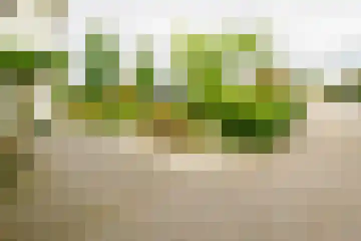 Bouwmeesterstraat 32 Vriezenveen thumbnail 59