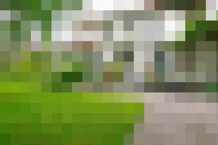 Bouwmeesterstraat 32 Vriezenveen thumbnail 6
