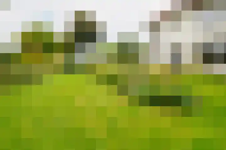 Bouwmeesterstraat 32 Vriezenveen thumbnail 64