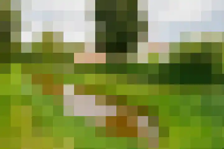 Bouwmeesterstraat 32 Vriezenveen thumbnail 65