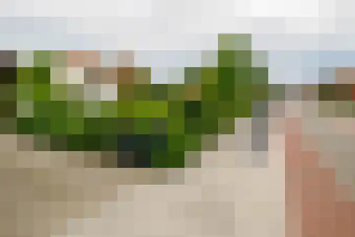 Bouwmeesterstraat 32 Vriezenveen thumbnail 66