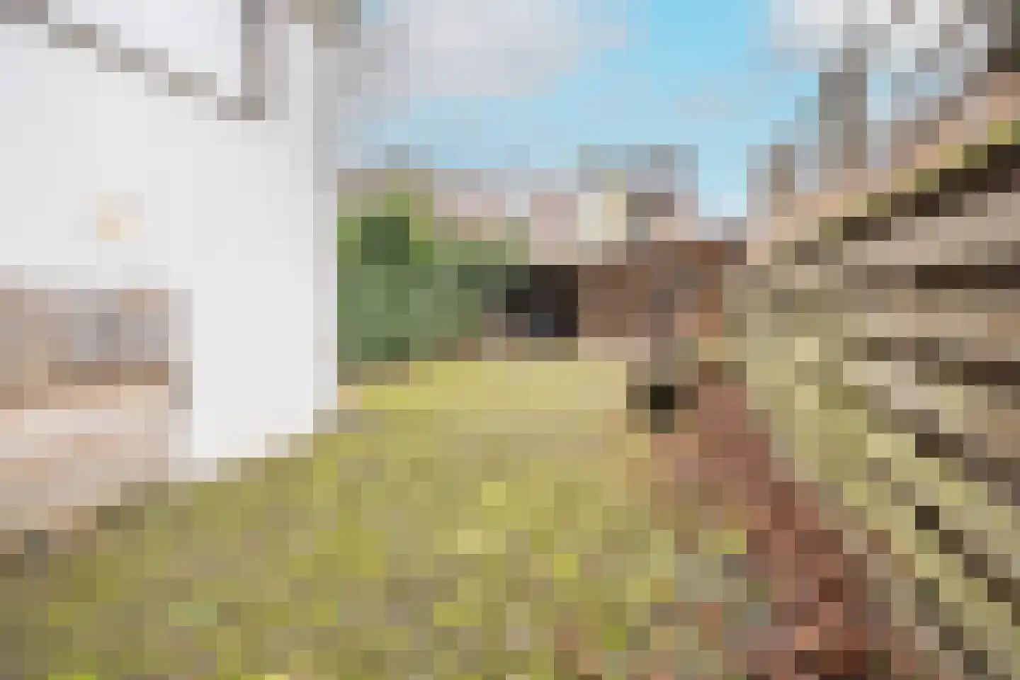 Bouwmeesterstraat 33 Arnhem thumbnail 34