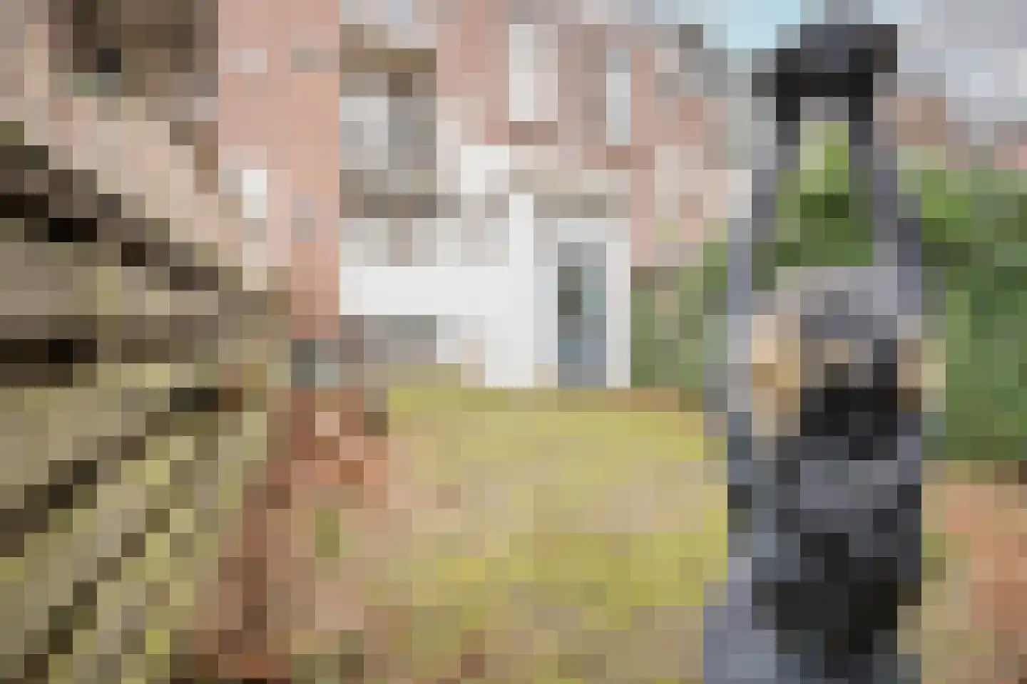 Bouwmeesterstraat 33 Arnhem thumbnail 35