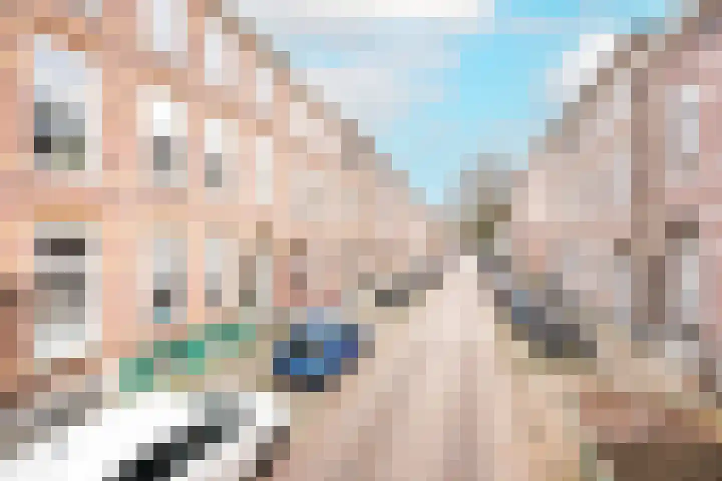 Bouwmeesterstraat 33 Arnhem thumbnail 40