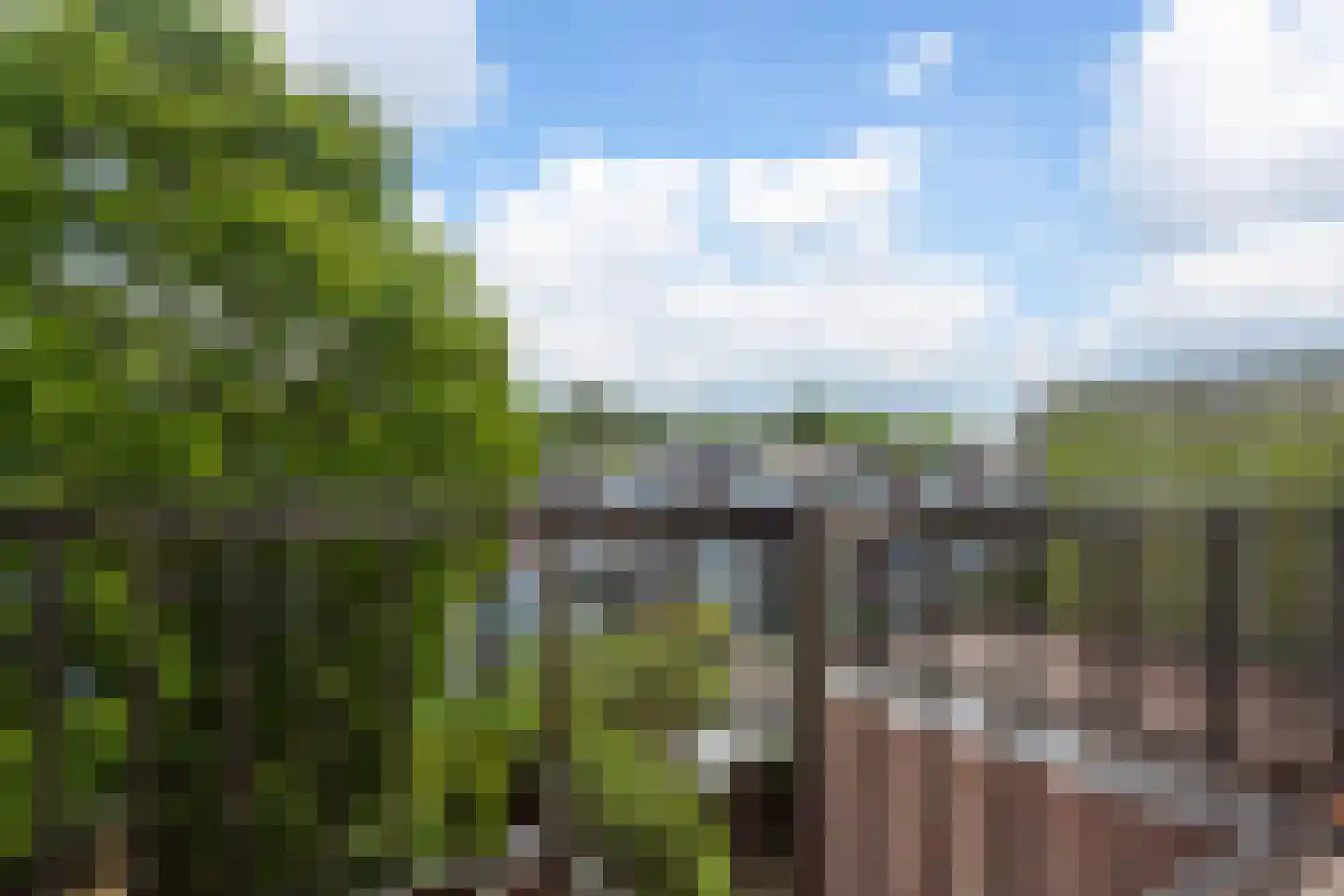Bouwmeesterstraat 37 1 Arnhem thumbnail 20