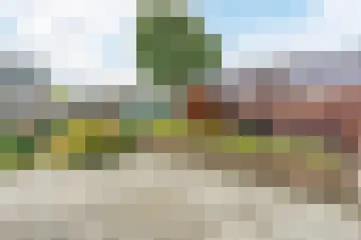 Bouwmeesterstraat 41 Vriezenveen thumbnail 10