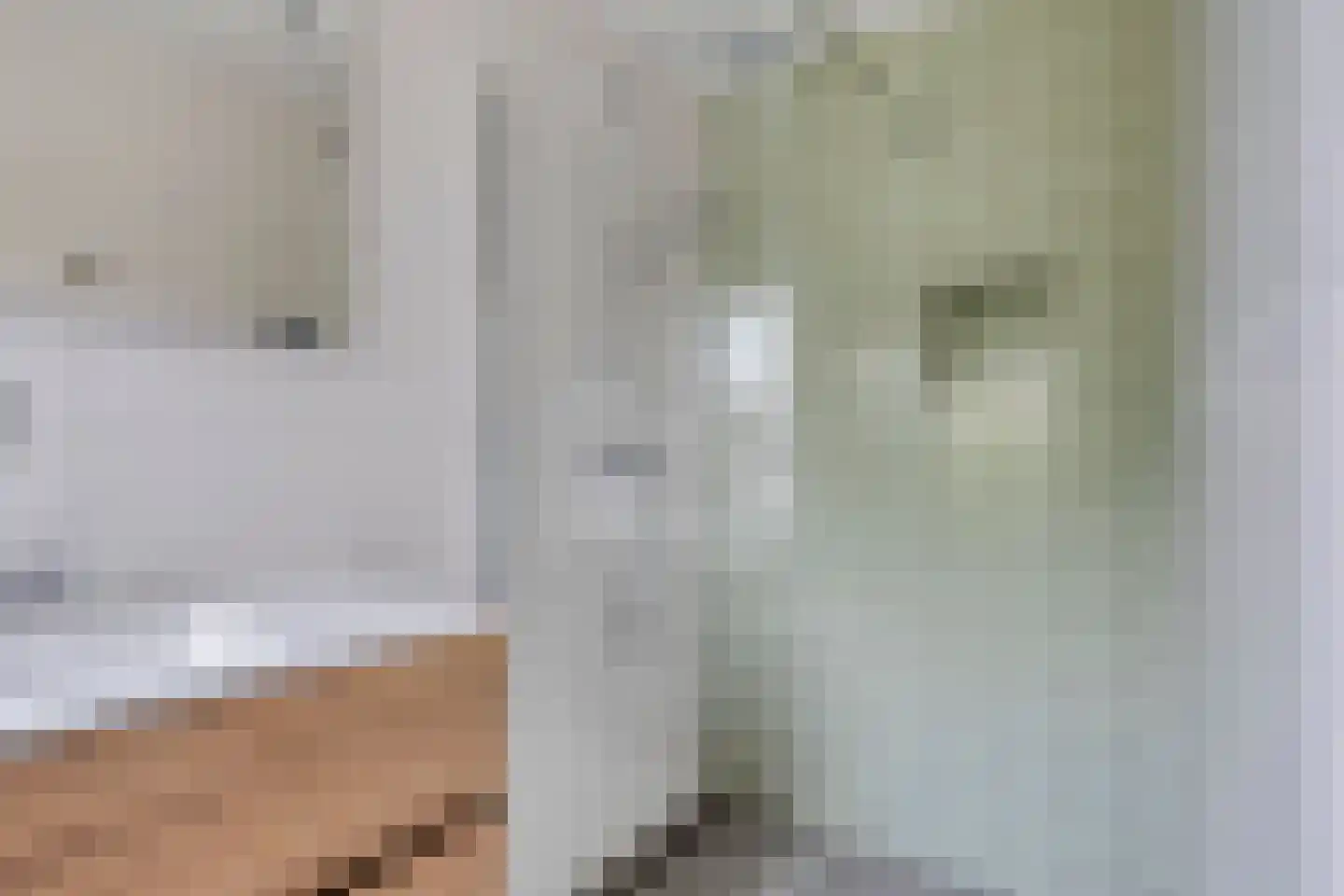 Bouwmeesterstraat 41 Vriezenveen thumbnail 33