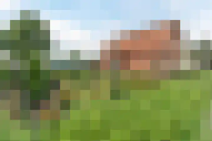 Bouwmeesterstraat 41 Vriezenveen thumbnail 4