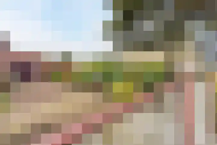 Bouwmeesterstraat 41 Vriezenveen thumbnail 6