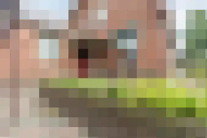 Bouwmeesterstraat 41 Vriezenveen thumbnail 8