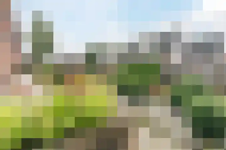 Bouwmeesterstraat 41 Vriezenveen thumbnail 9