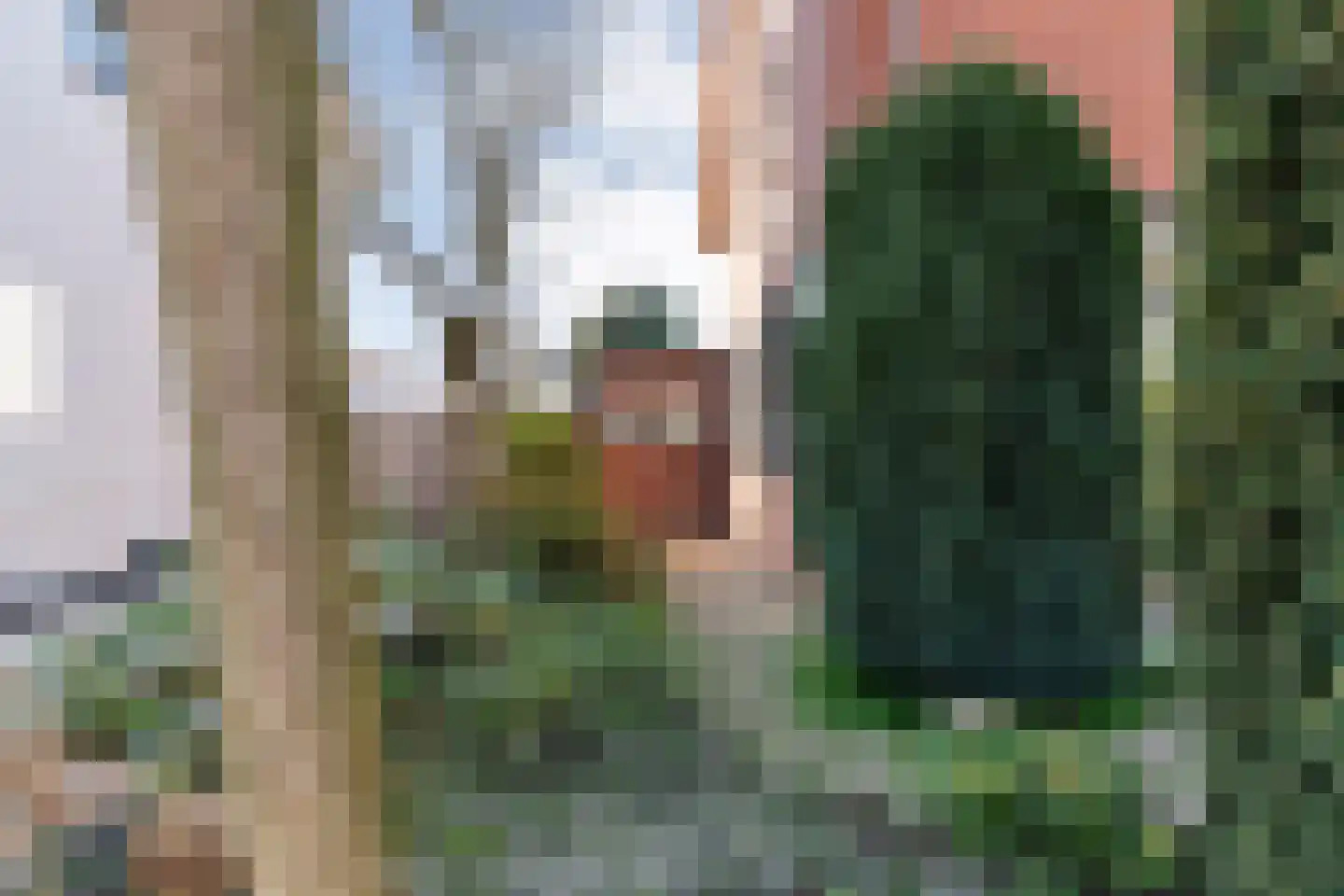 Bouwmeesterstraat 5 Ommen thumbnail 15