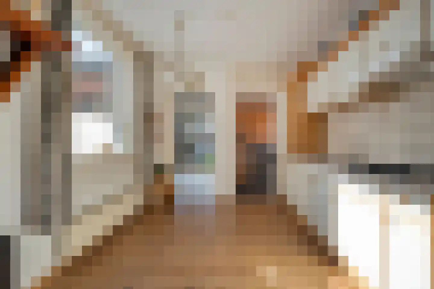 Bouwmeesterstraat 5 Ommen thumbnail 22