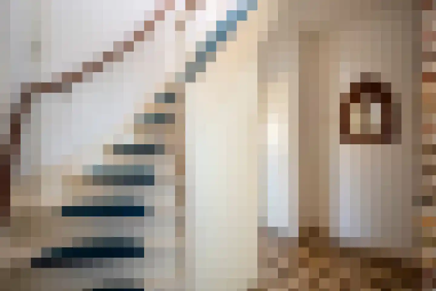 Bouwmeesterstraat 5 Ommen thumbnail 33