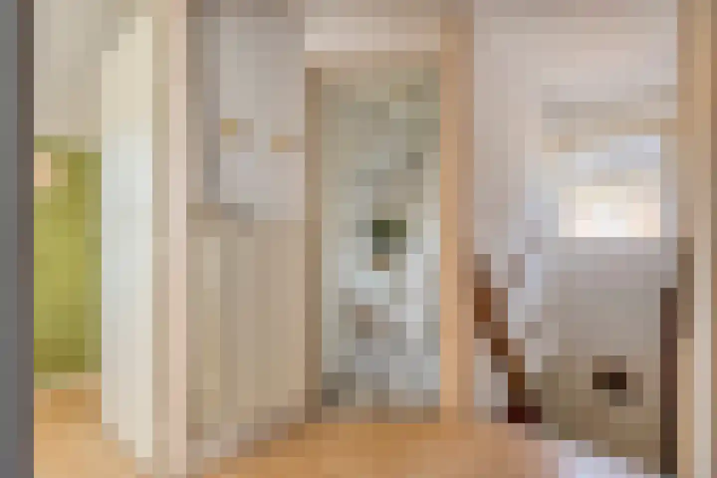 Bouwmeesterstraat 5 Ommen thumbnail 37