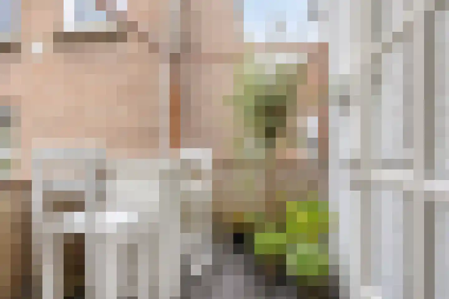 Bouwmeesterstraat 63 Arnhem thumbnail 17