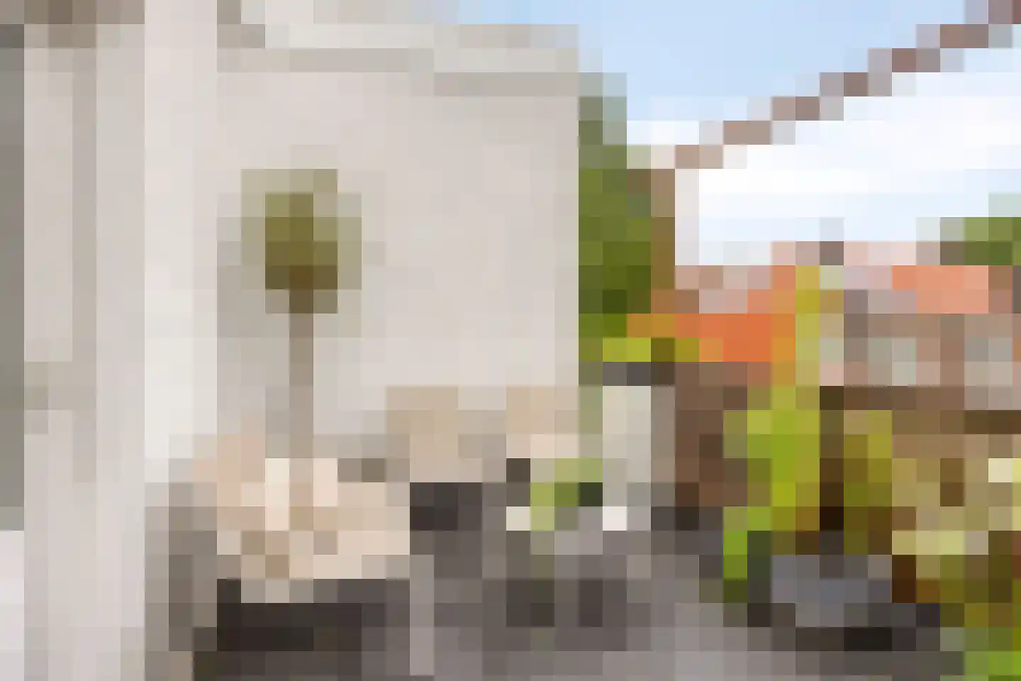 Bouwmeesterstraat 63 Arnhem thumbnail 24