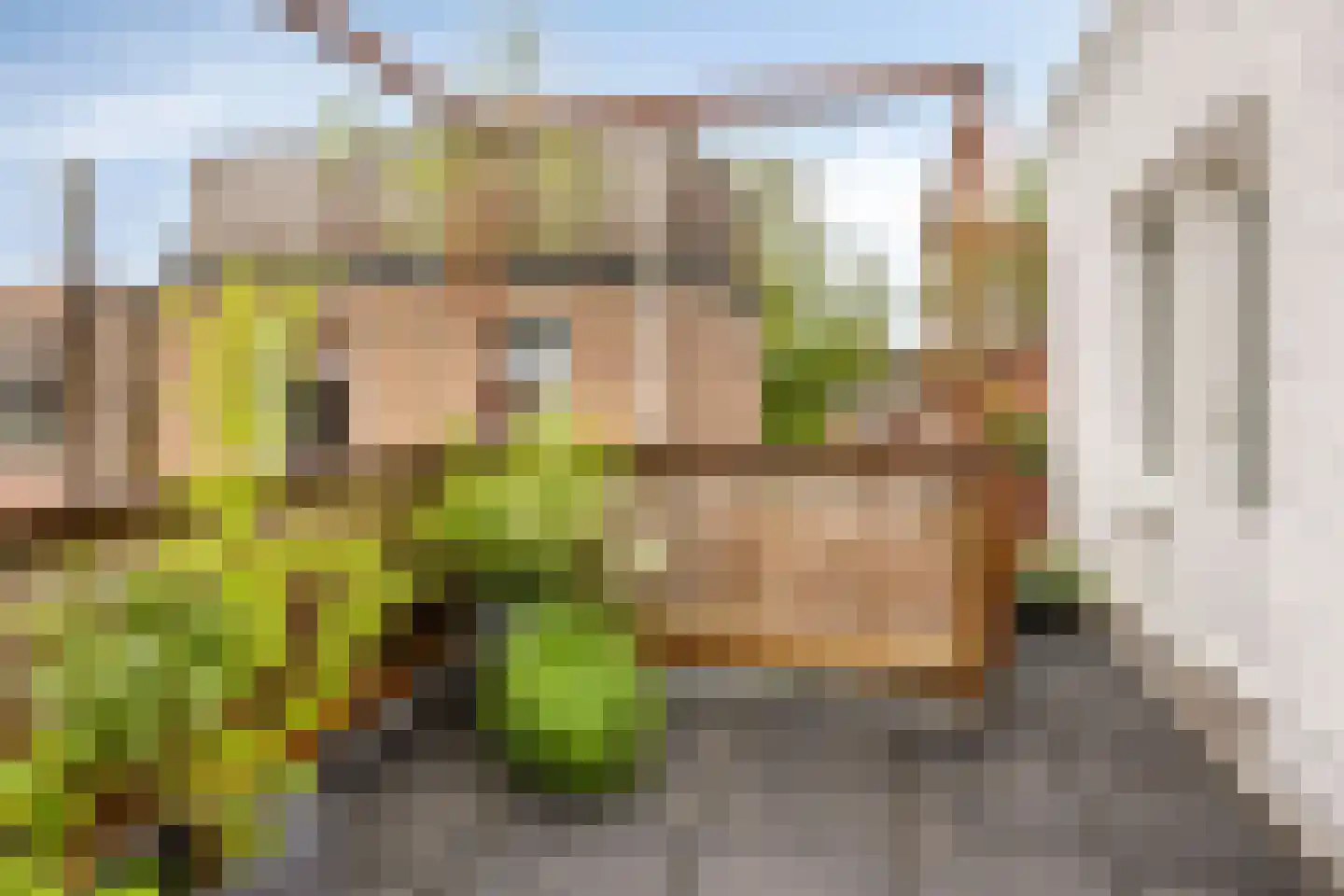 Bouwmeesterstraat 63 Arnhem thumbnail 26
