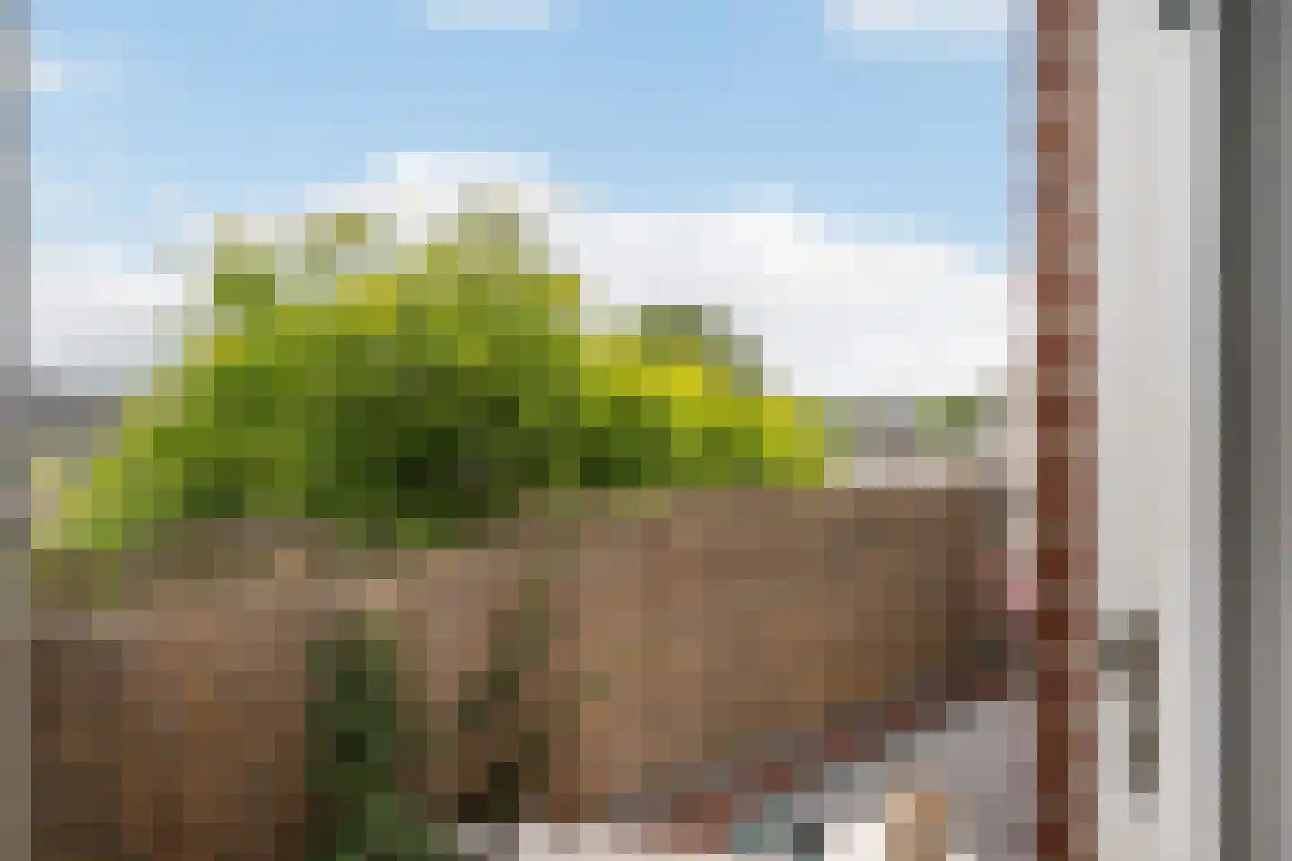 Bouwmeesterweg 31 Schiedam thumbnail 10