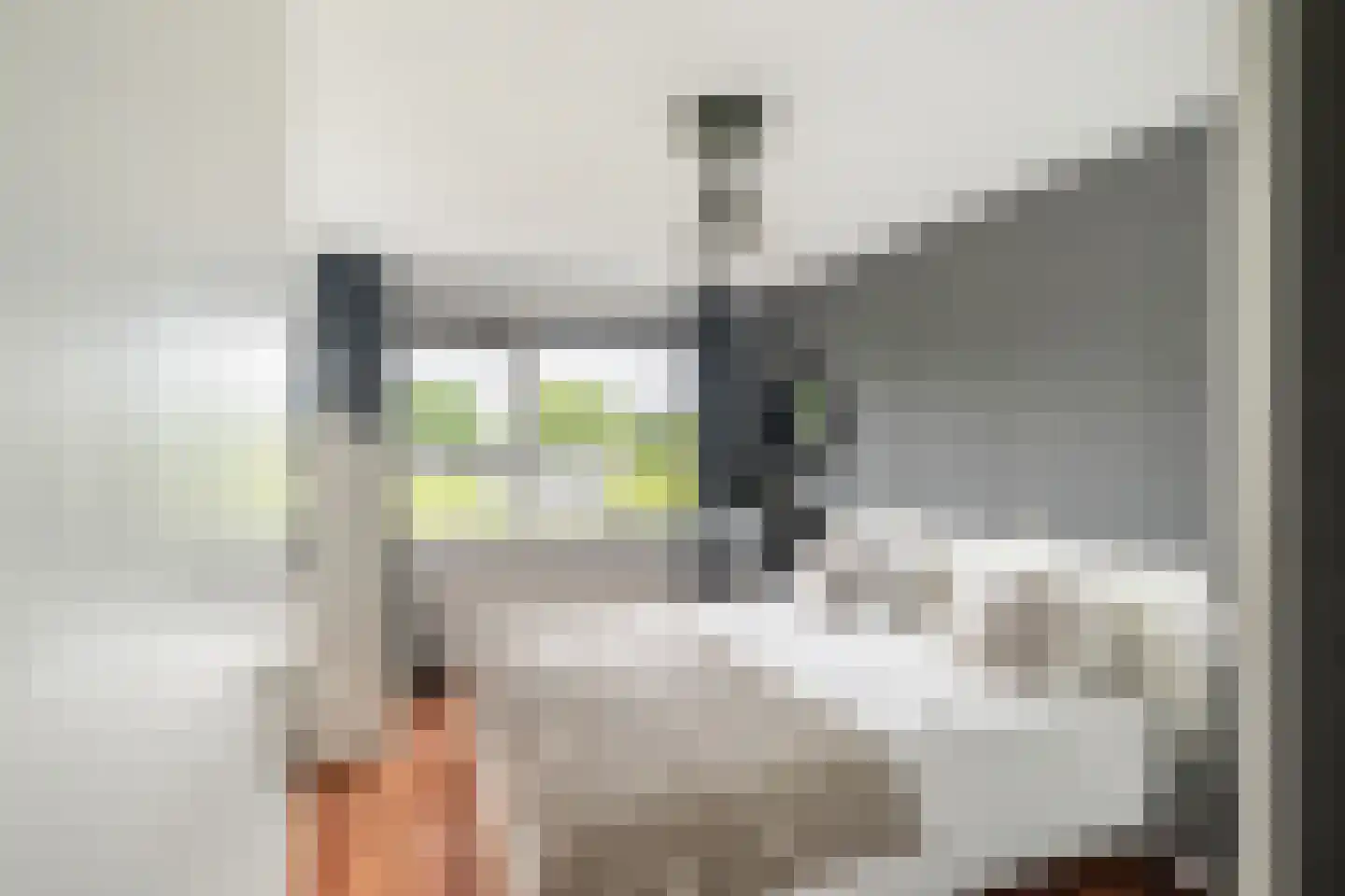 Bouwmeesterweg 31 Schiedam thumbnail 19