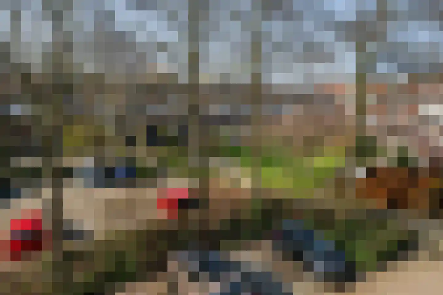 Bouwmeesterweg 45 Schiedam thumbnail 21