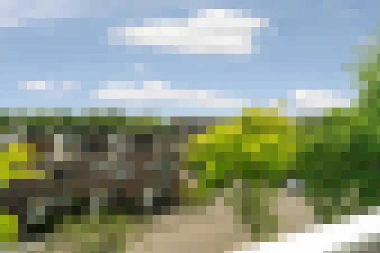Bouwmeesterweg 51 Schiedam thumbnail 21