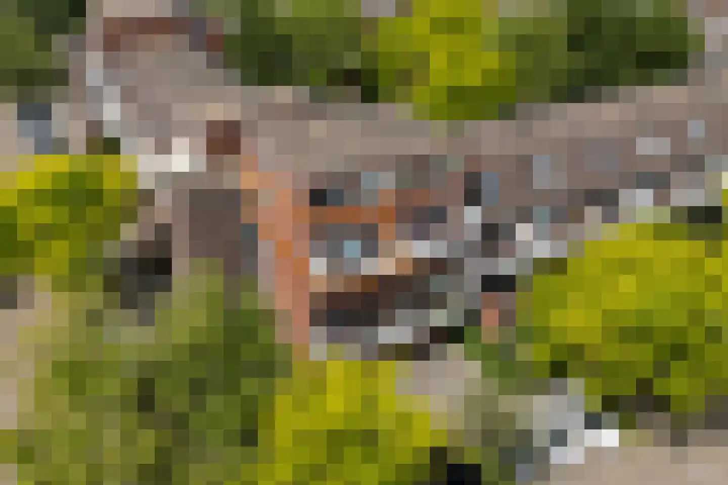 Bouwmeesterweg 51 Schiedam thumbnail 43