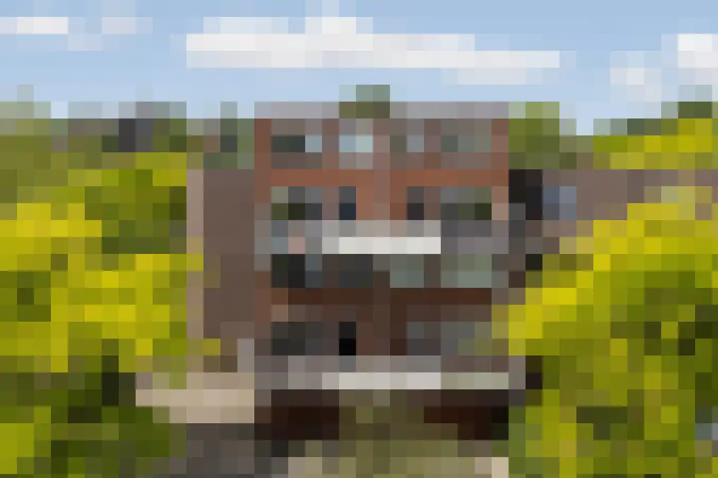 Bouwmeesterweg 51 Schiedam thumbnail 44