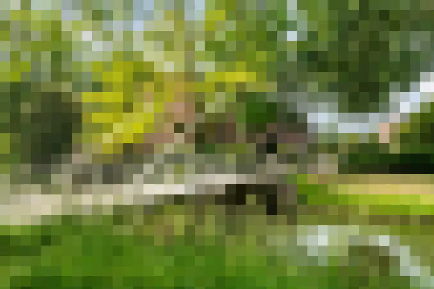 Bouwmeesterweg 51 Schiedam thumbnail 52