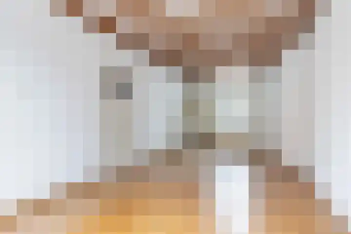 Bouwstraat 38 Utrecht thumbnail 7