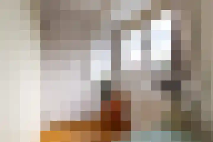 Bouwstraat 6 Utrecht thumbnail 36