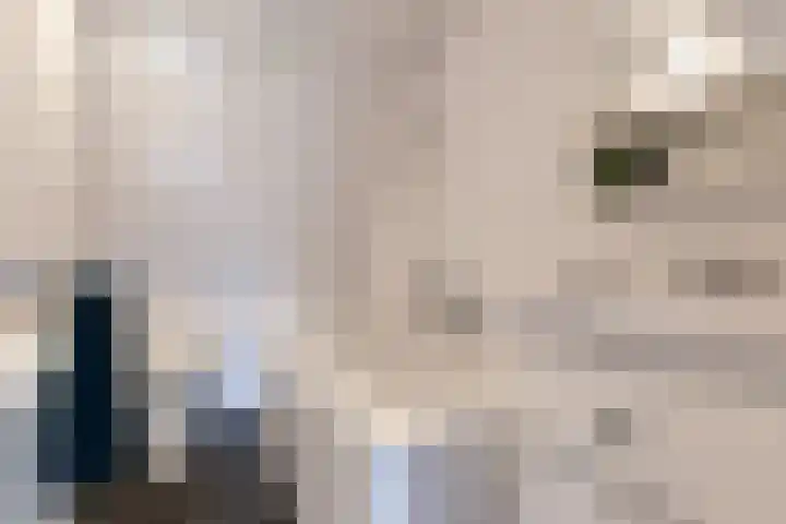 Bouwstraat 6 Utrecht thumbnail 37