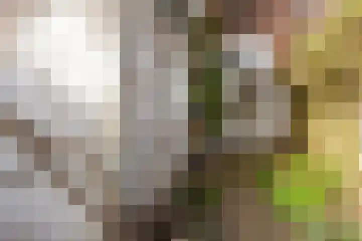 Bouwstraat 69 Utrecht thumbnail 32