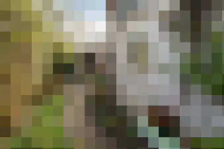 Bouwstraat 69 Utrecht thumbnail 33