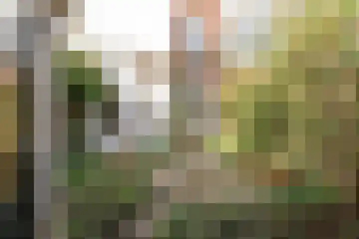 Bouwstraat 69 Utrecht thumbnail 34