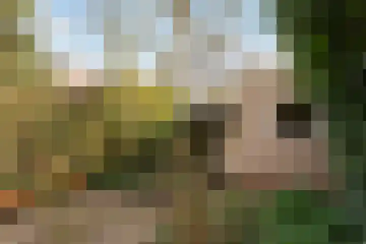 Bouwstraat 69 Utrecht thumbnail 35