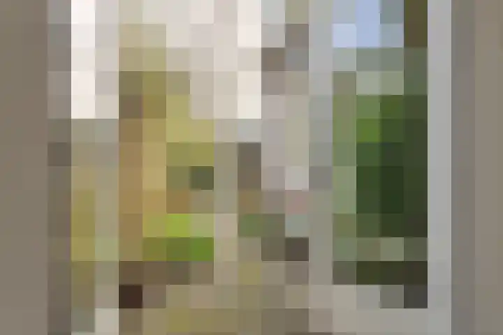 Bouwstraat 69 Utrecht thumbnail 4
