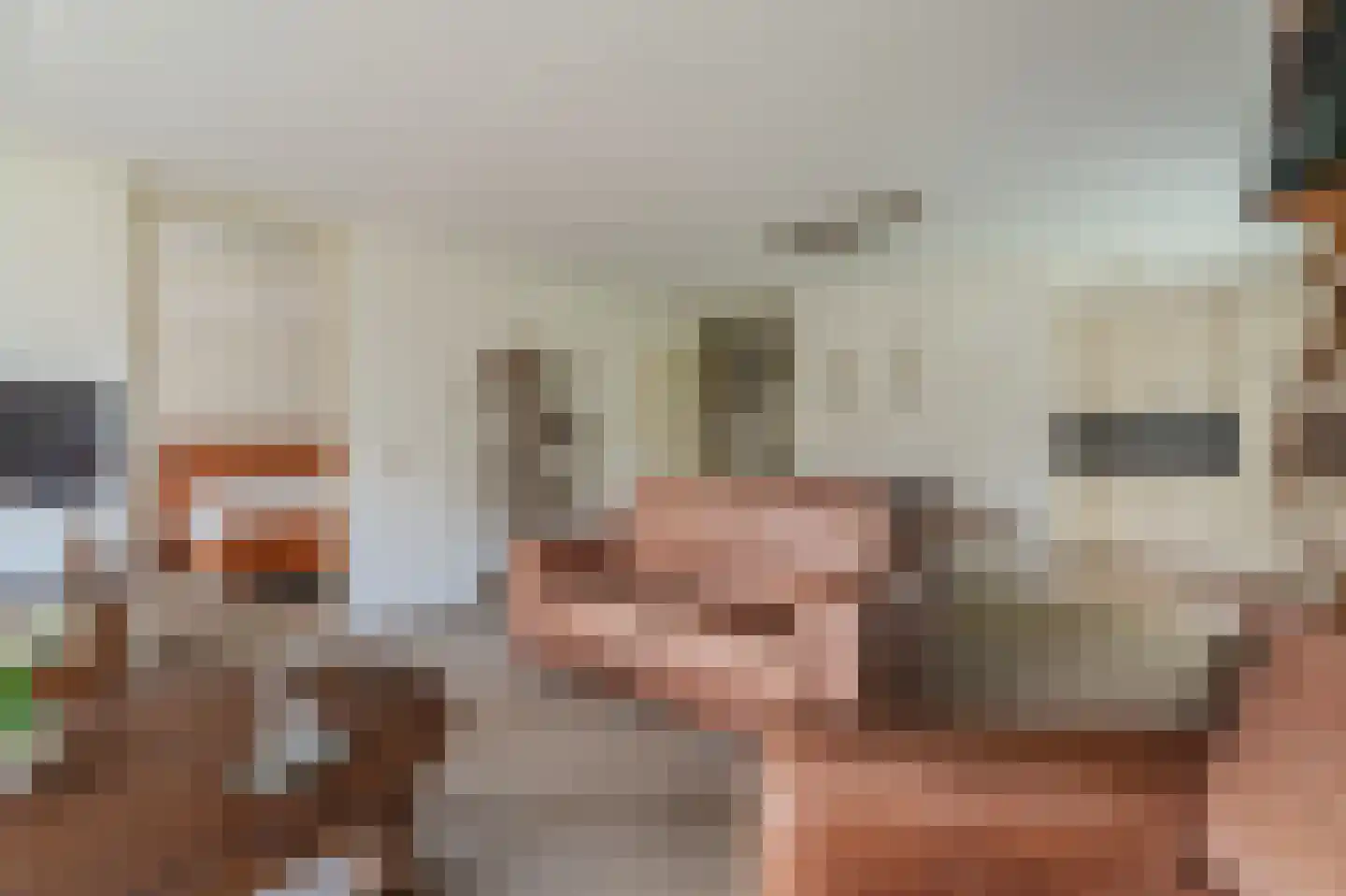 Bouwteheerd 1 Beerta thumbnail 13