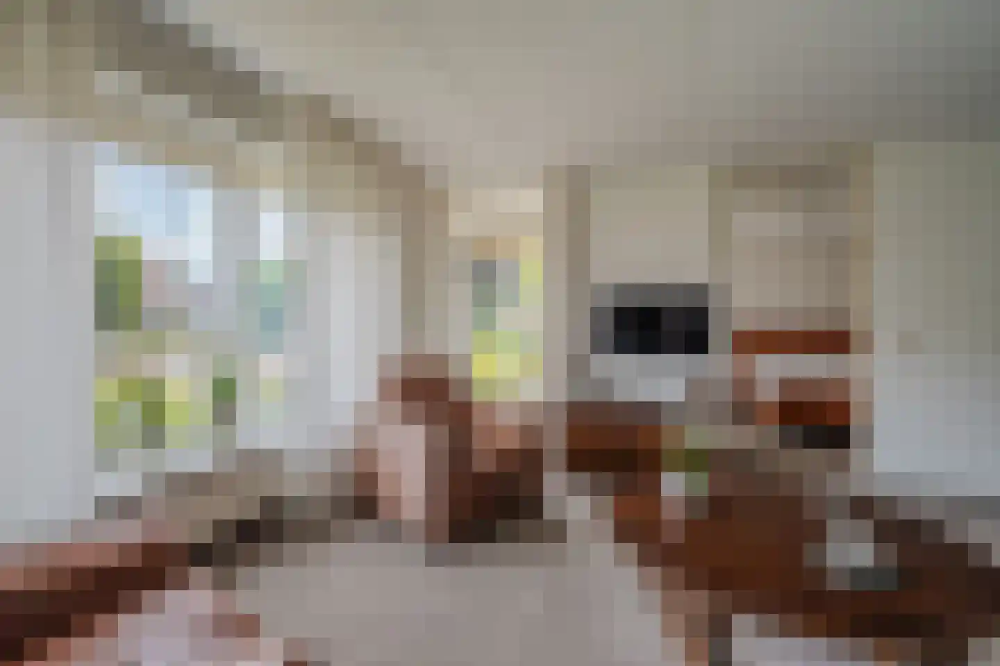 Bouwteheerd 1 Beerta thumbnail 14