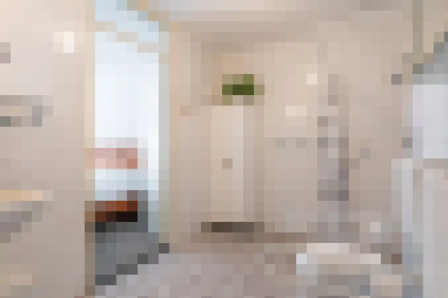 Bouwteheerd 1 Beerta thumbnail 20