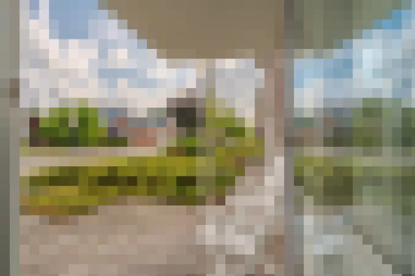 Bouwteheerd 1 Beerta thumbnail 24