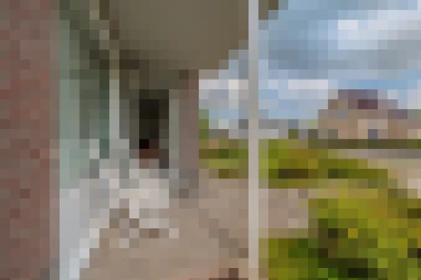 Bouwteheerd 1 Beerta thumbnail 26