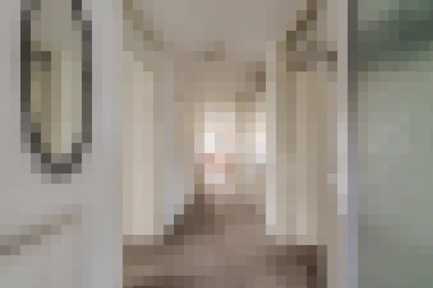 Bouwteheerd 1 Beerta thumbnail 7