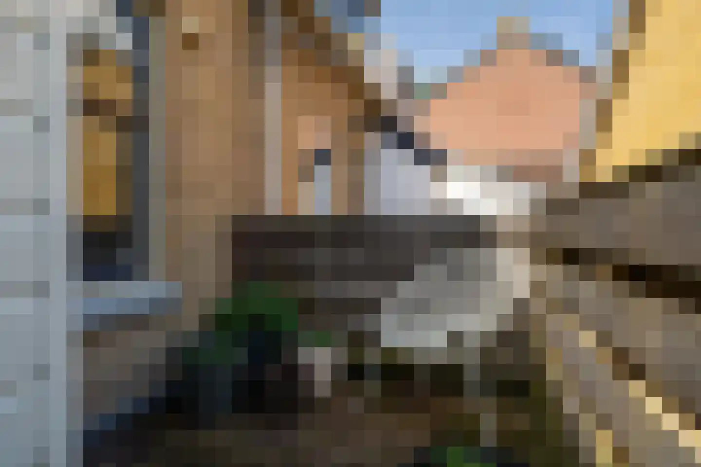 Bouwvereniging 3 Krimpen aan de Lek thumbnail 21