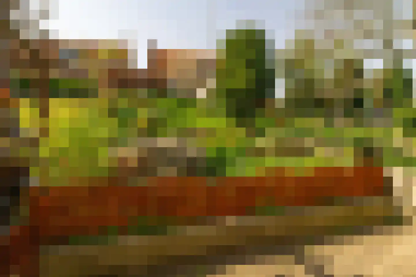 Bouwvereniging 3 Krimpen aan de Lek thumbnail 26