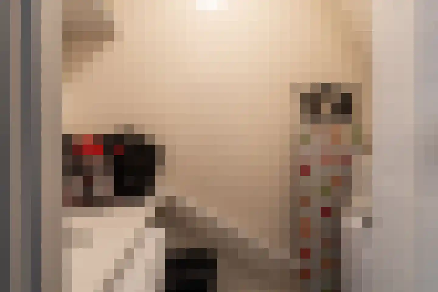 Bouwvereniging 3 Krimpen aan de Lek thumbnail 7