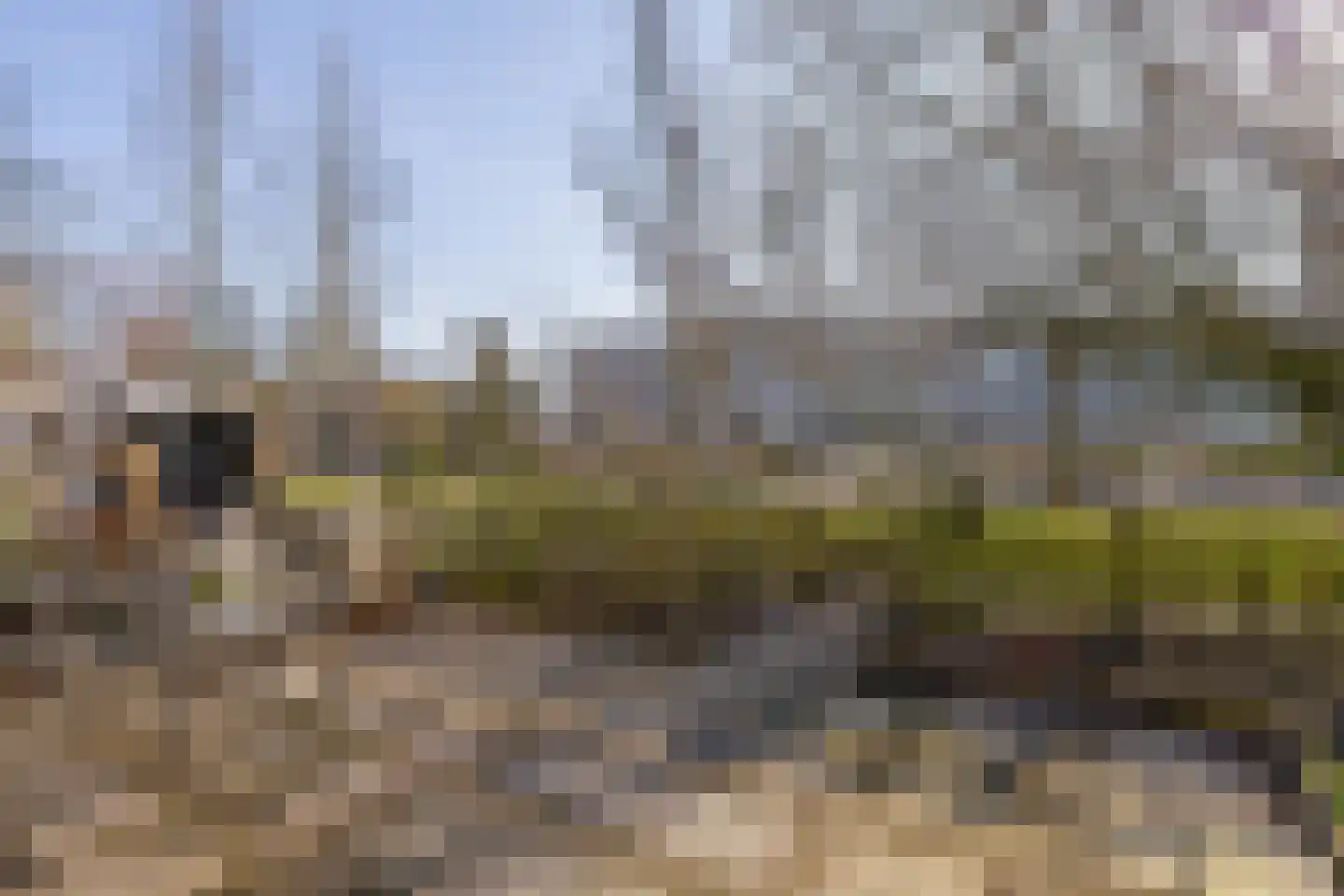 Bouwvereniging 33 Krimpen aan de Lek thumbnail 10